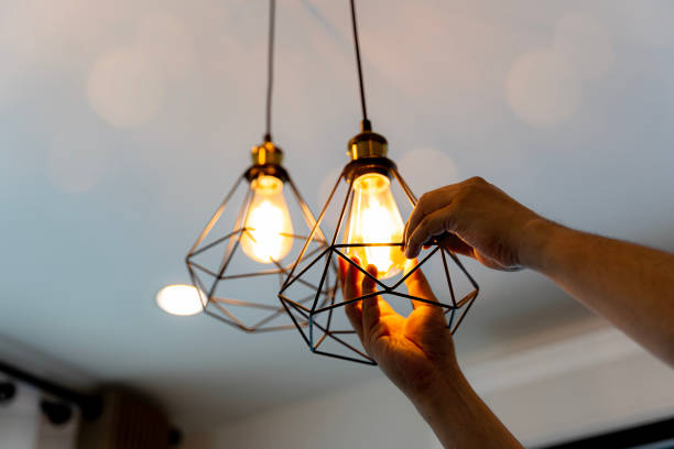 Best Electrical System Inspection  in Weidman, MI