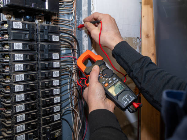 Best Generator Installation Services  in Weidman, MI