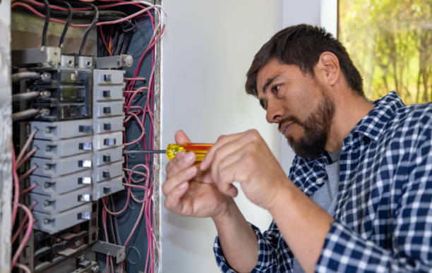 Best Ceiling Fan Installation Electrician  in Weidman, MI